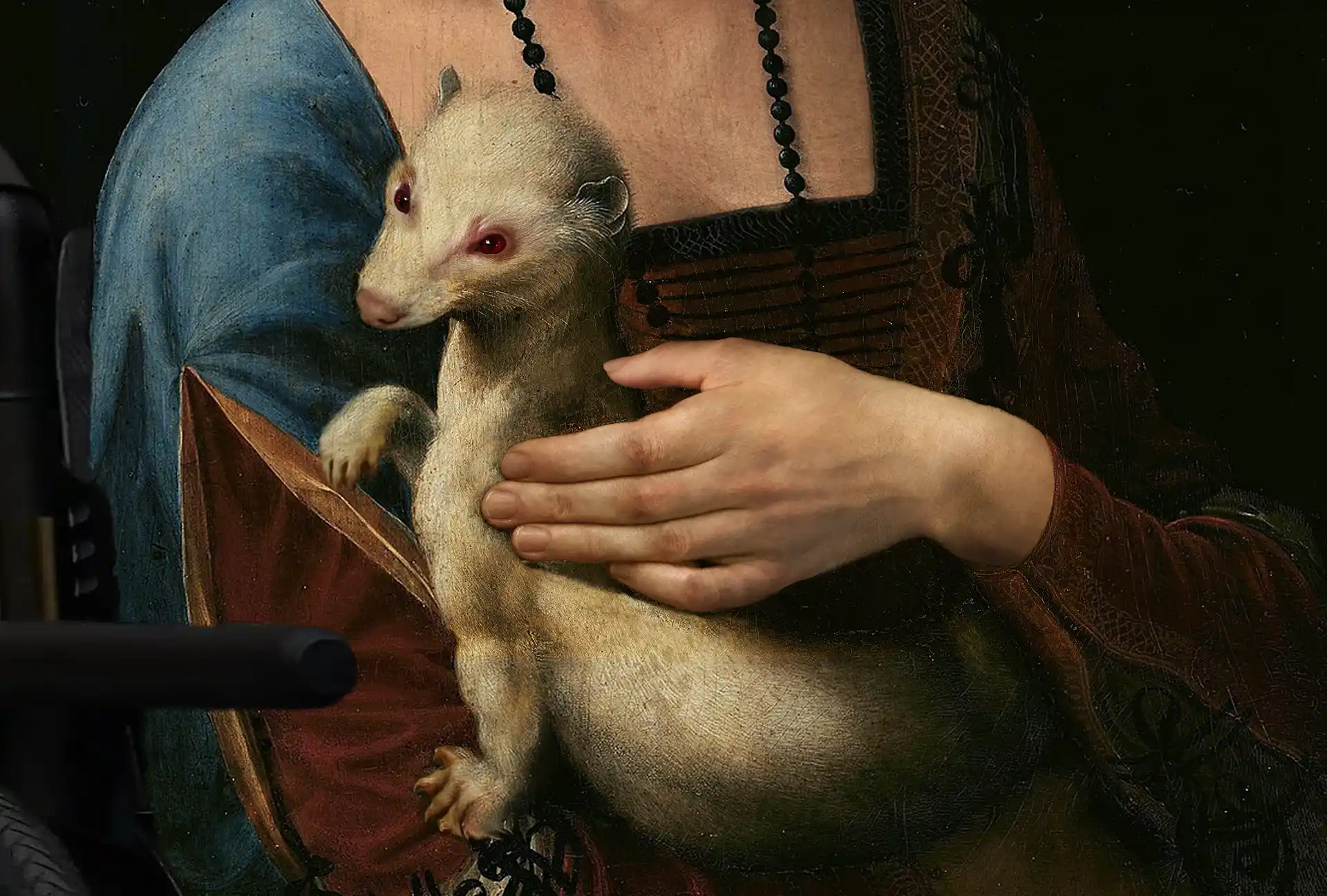 Dama con furetto: ferret detail