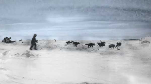 Nanook of the North - dog sled