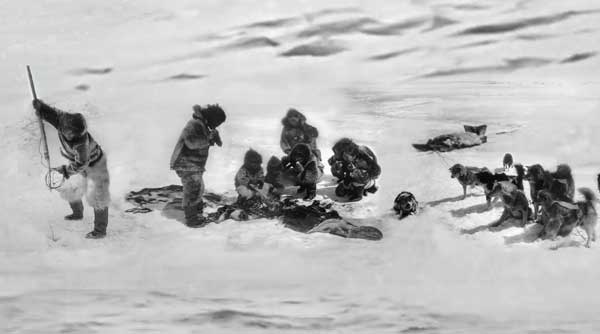 Nanook of the North - a seal hunt