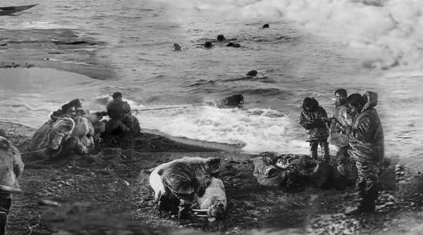 Nanook of the North - walrus hunt